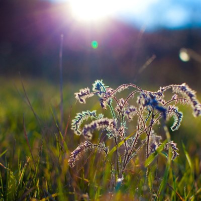 1920 x 1080 HD Wallpapers 3534